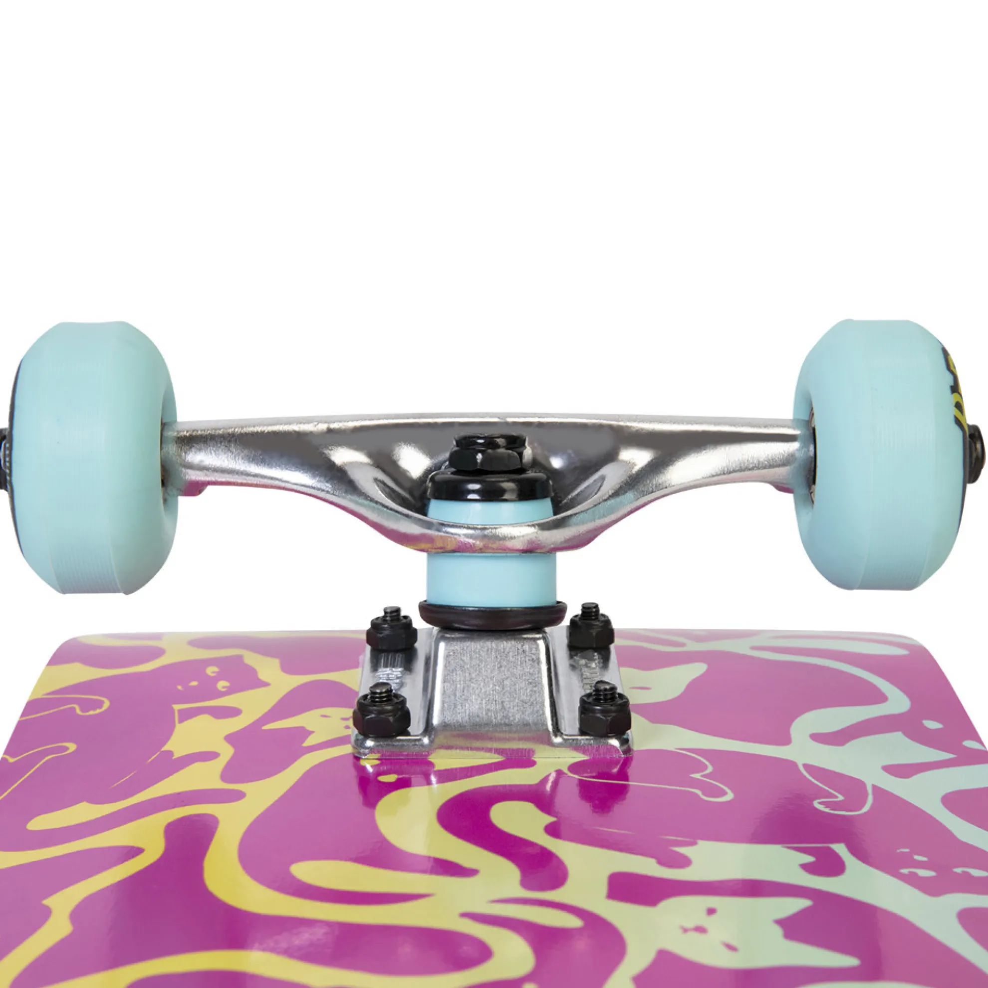 Gallery Pop (Cat Camo)